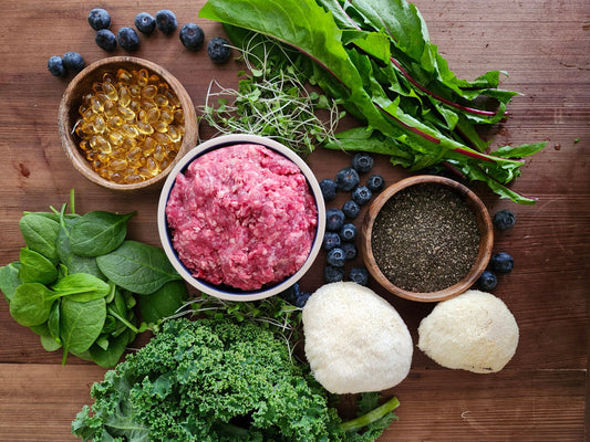 Raw Dog Food vs Kibble