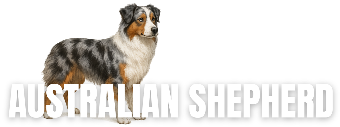 Raw Dog Food for Australian Shepherds