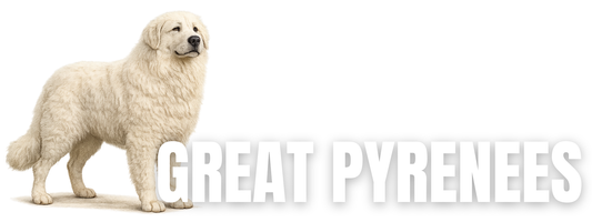 Raw Dog Food for Great Pyrenees