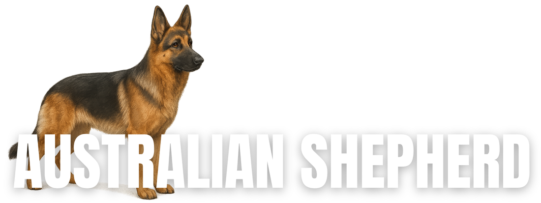 Raw Dog Food for German Shepherds