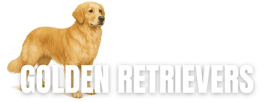 Raw Dog Food for Golden Retrievers