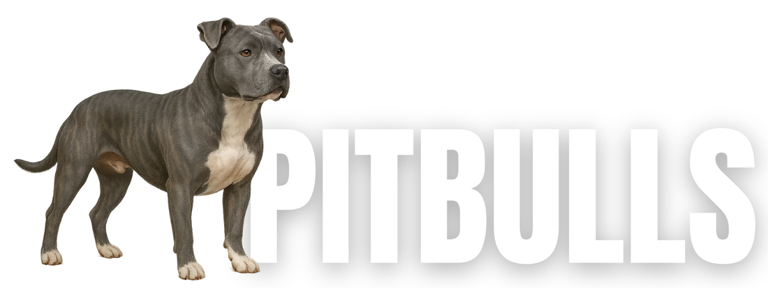 Raw Dog Food for Pitbulls