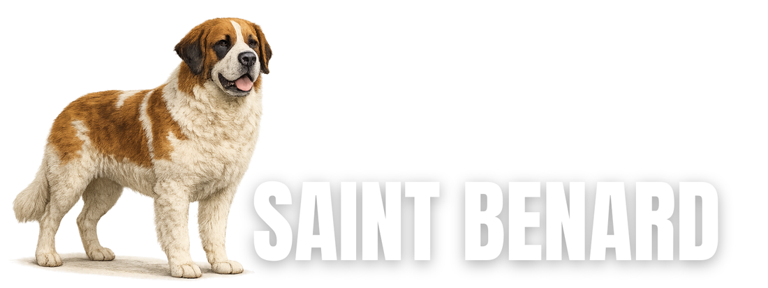 Raw Dog Food for Saint Bernards
