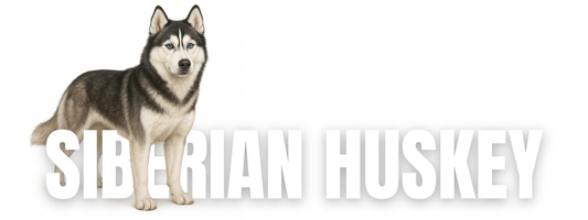 Raw Dog Food for Siberian Huskies