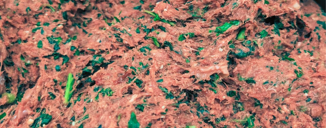 Raw Dog Food Safety Tips