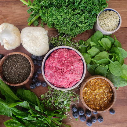 Dog Food- Raw Frozen, Grass Fed Beef w/ Canine Super Foods