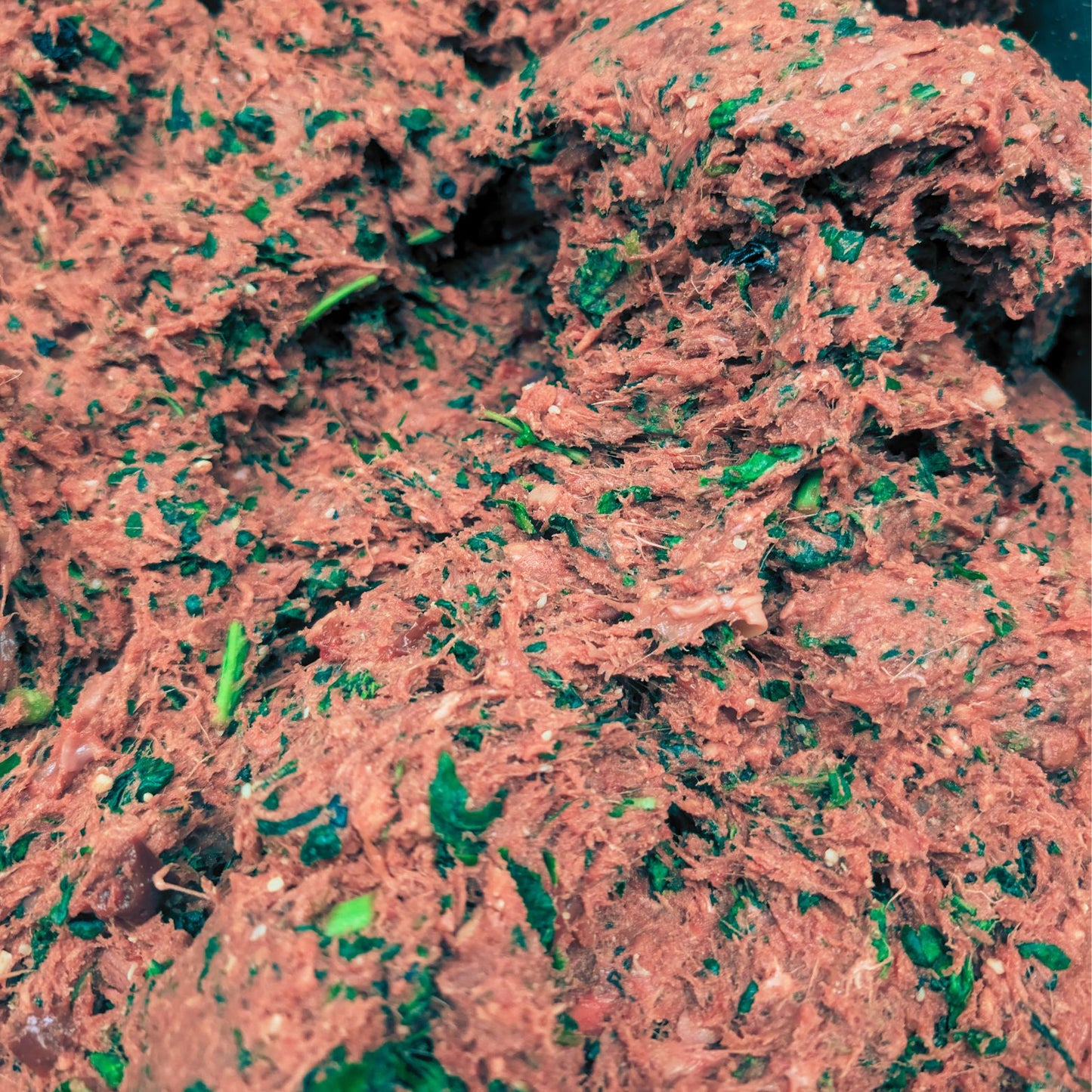 Dog Food- Raw Frozen, Grass Fed Beef w/ Canine Super Foods