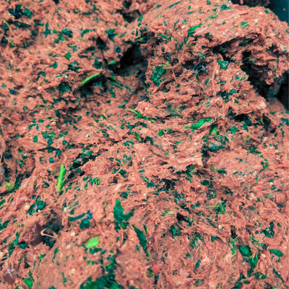 Dog Food- Raw Frozen, Grass Fed Beef w/ Canine Super Foods